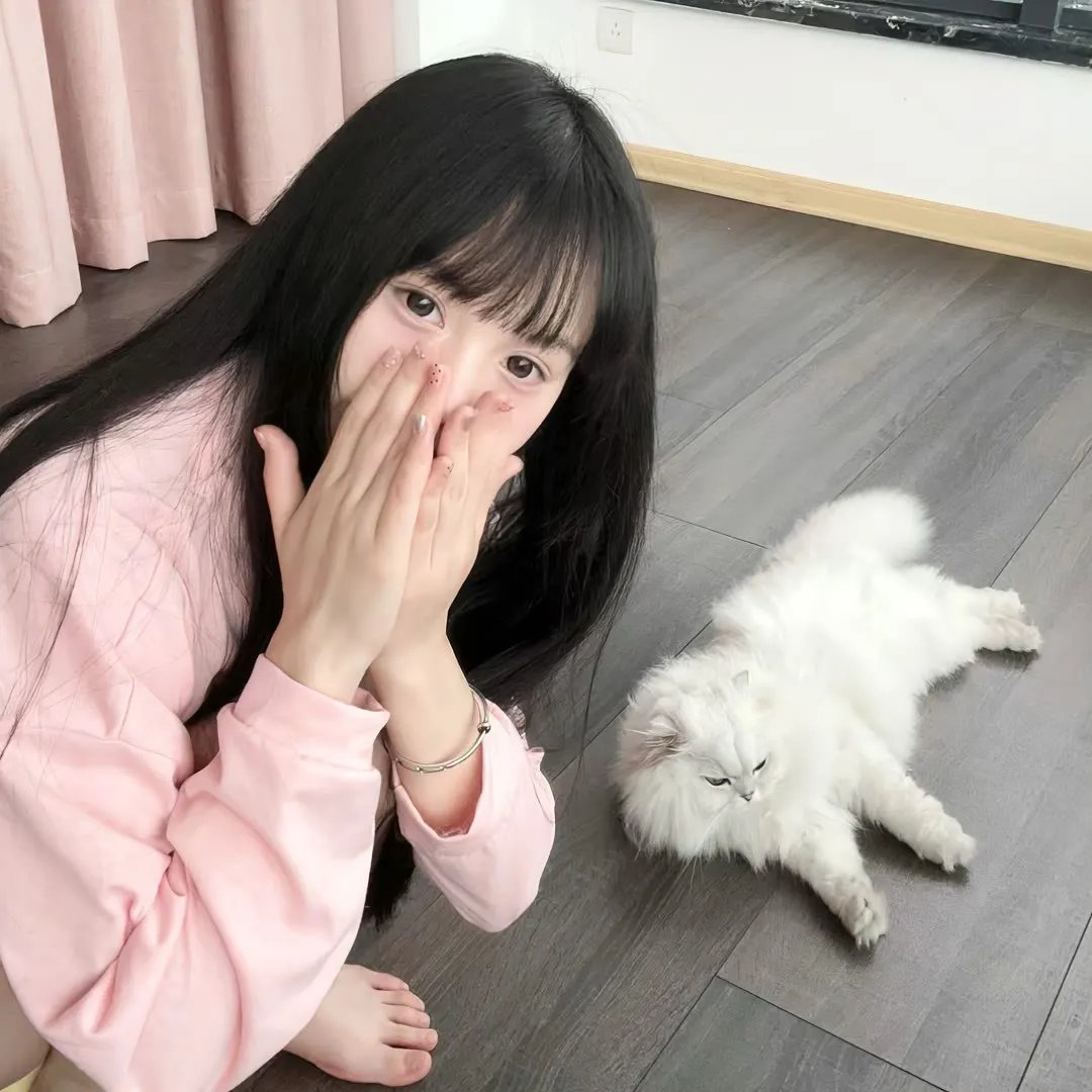 上有老