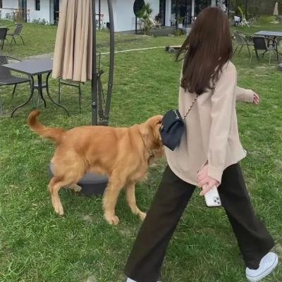 禁女大风波